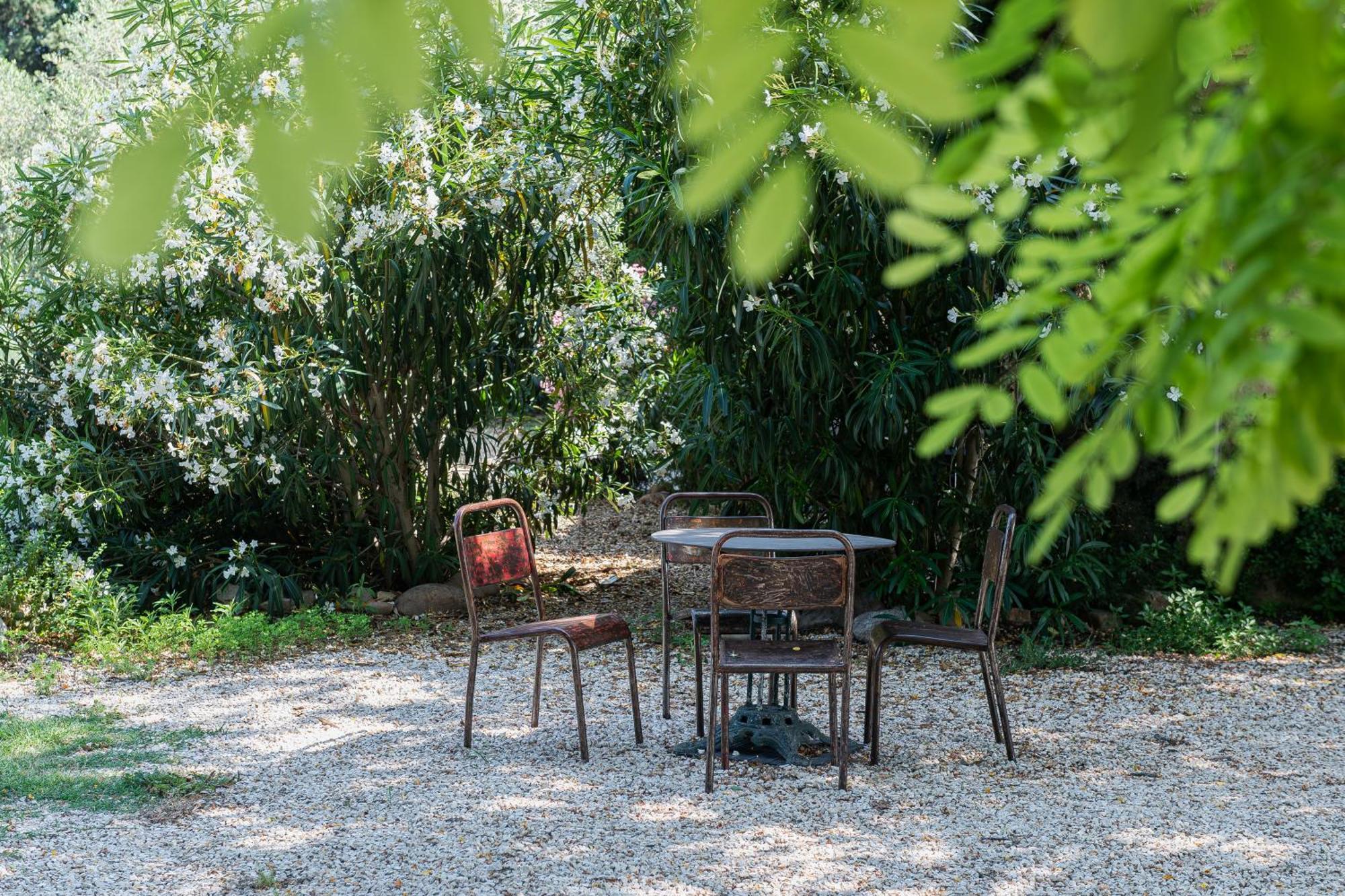 La Madeleine Arles Apartment Ngoại thất bức ảnh